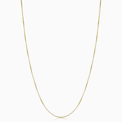 Collier boîte Bodega | Or